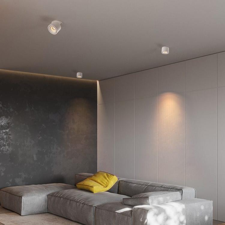 FlexiZylinder | Oprawa sufitowa LED wpuszczana