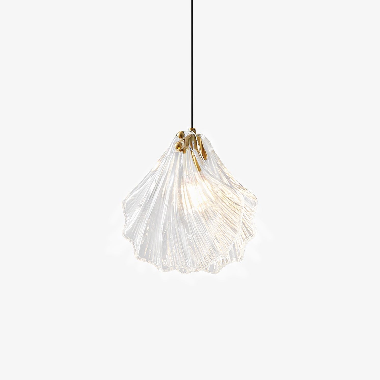 Coralia | Szklana lampa wisząca w kształcie muszli