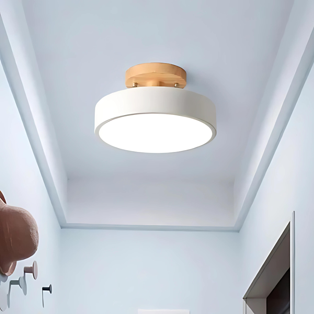 Aria | Kompaktowa, nowoczesna lampa sufitowa LED